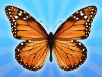 MergeButerfly: 2048!